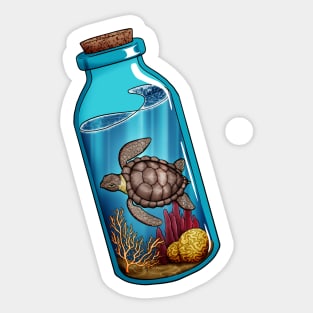 Sea Turtle Bottle Sticker